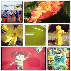 yellow collage