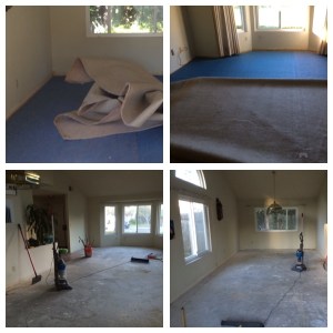 renovation collage