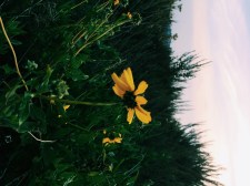 Processed with VSCOcam with c1 preset