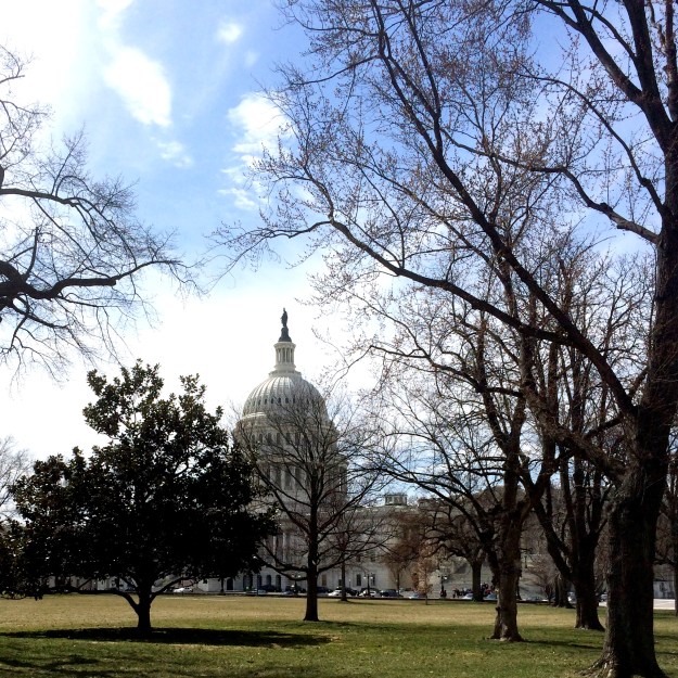 capitol skyline