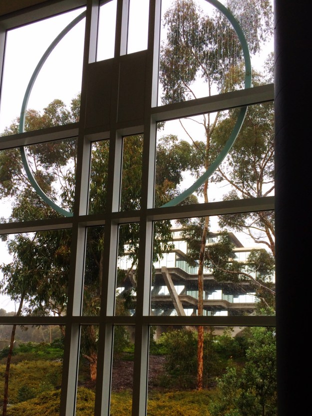 library through the window