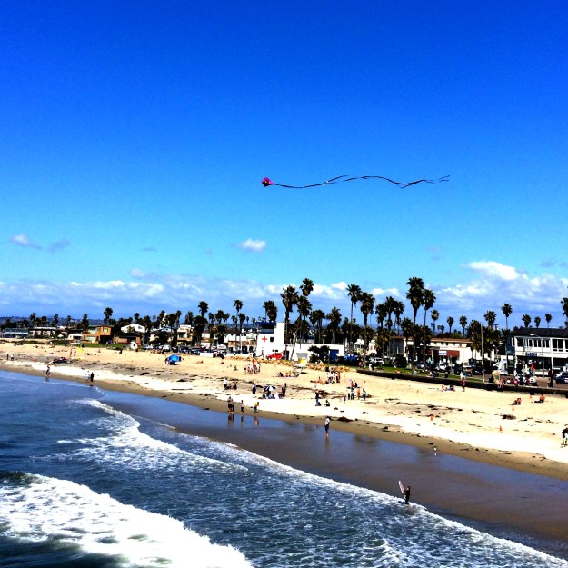 kite above ocean beach