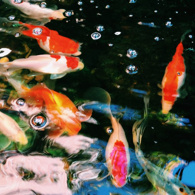 Processed with VSCOcam with c1 preset