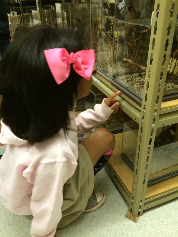 looking closely interesections