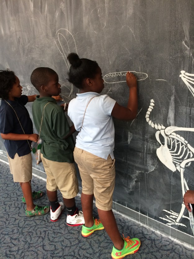 skulls on a chalkboard intersections