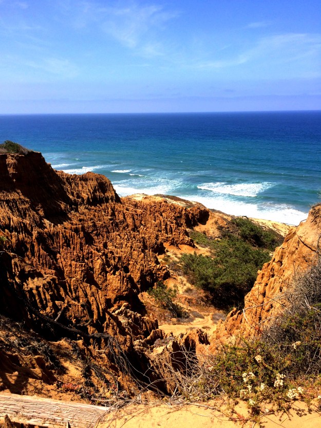 beach cliffs torrey pines