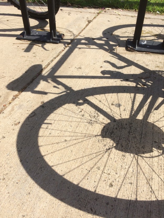 bicycle shadow