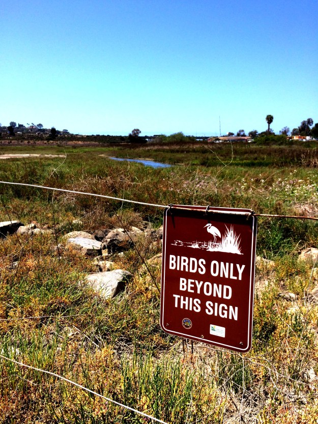bird sign