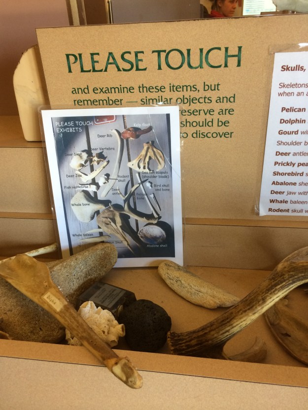please touch