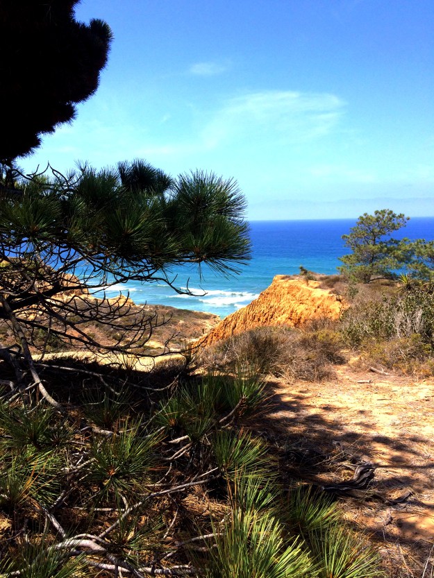 Torrey Pines Vista