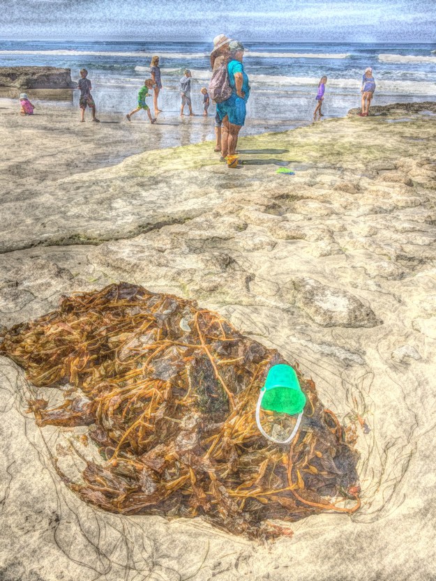 beach stifflife paintereque