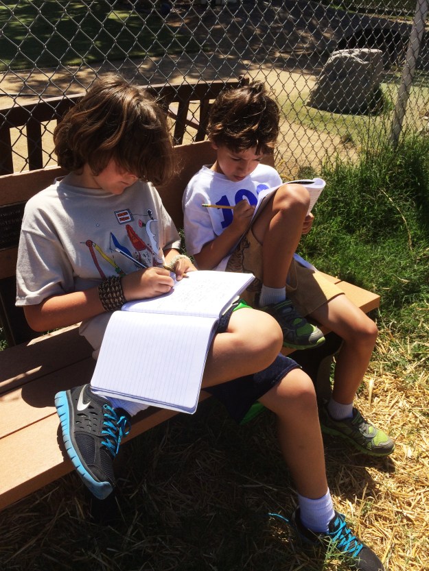 boys writing in the garden