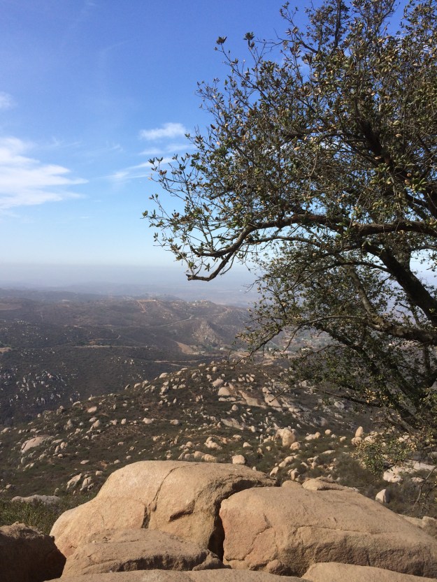 Tree Mt Woodson