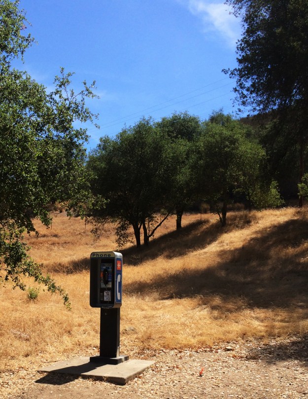 unexpected-phone booth