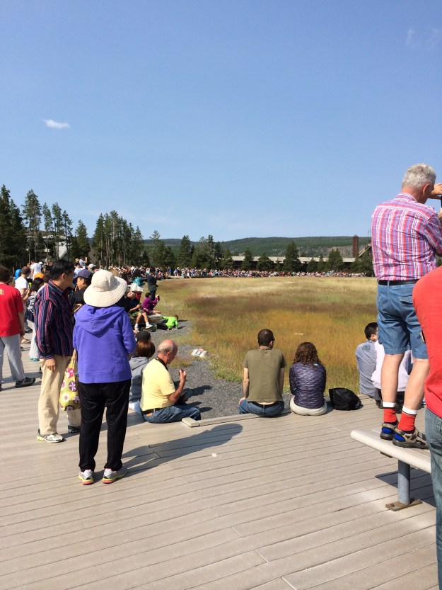 viewers of old faithful