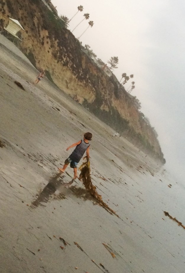 kid with kelp