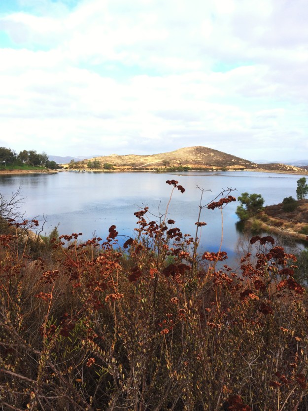 Lake Poway