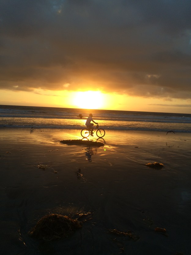 sunset bicycle