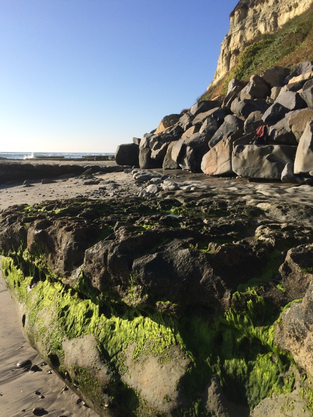 beach greens and blues