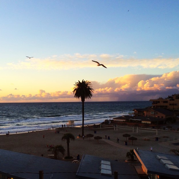 clouds near sunset with gull