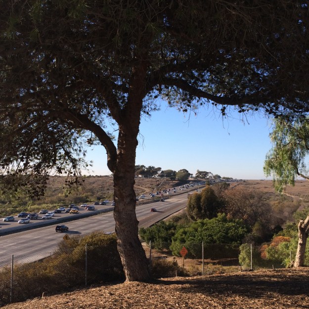 freeway view