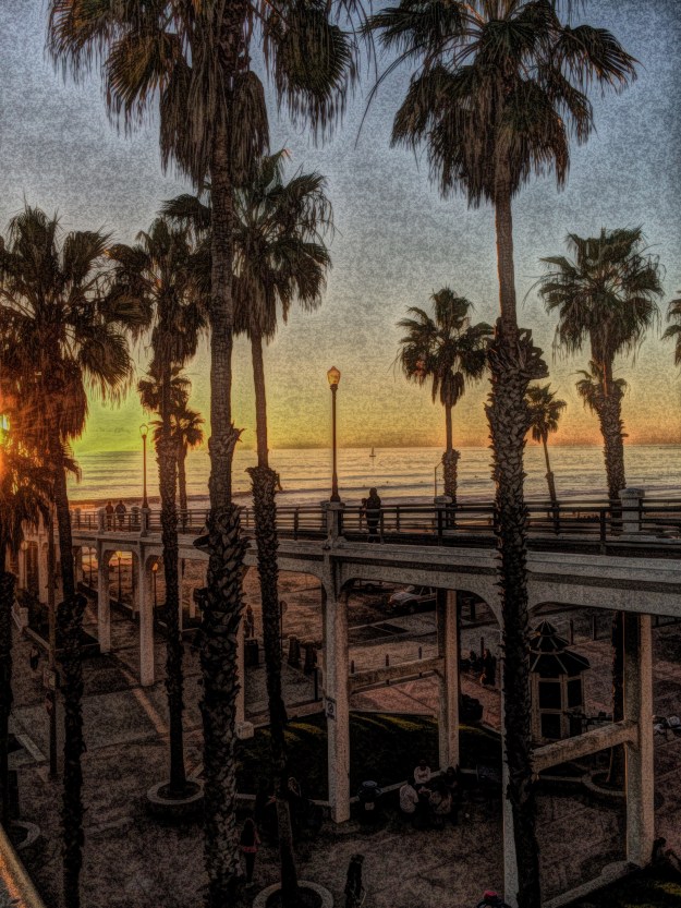 pier and palms