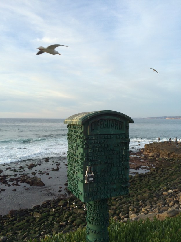 locked box and seagull