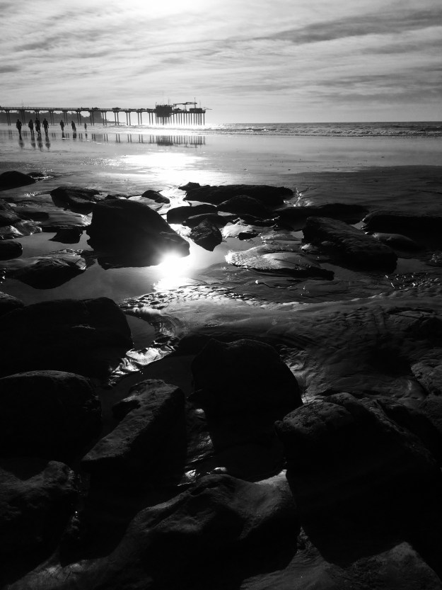 sun reflection in black and white