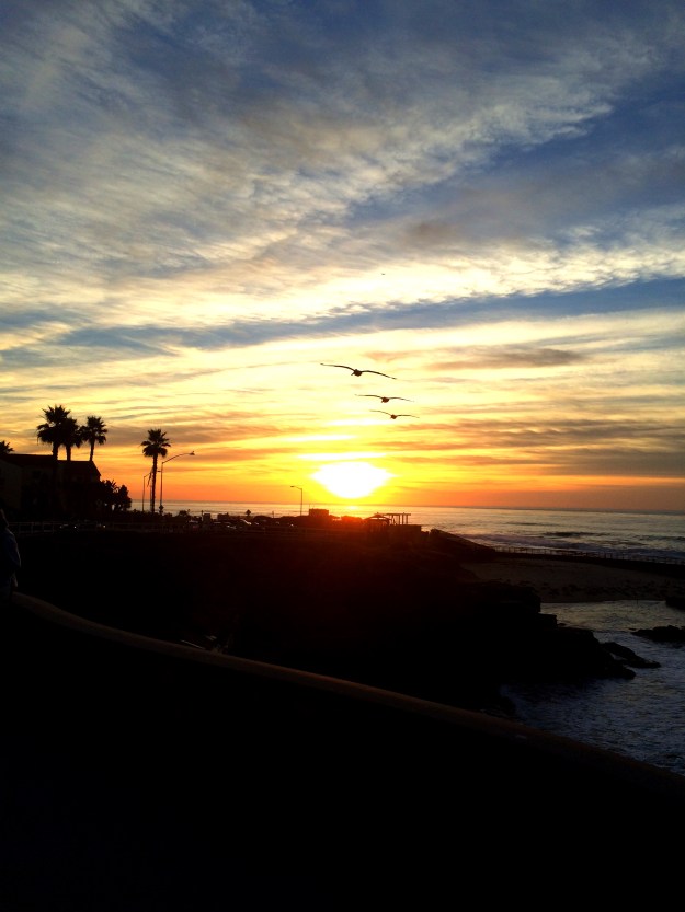 sunset with 3 pelicans