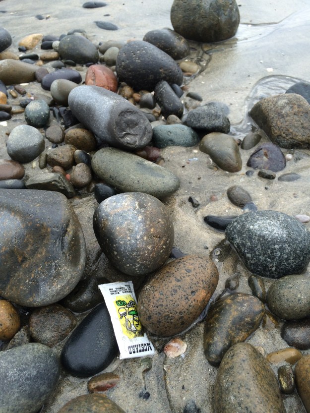 yellow-litterati mustard