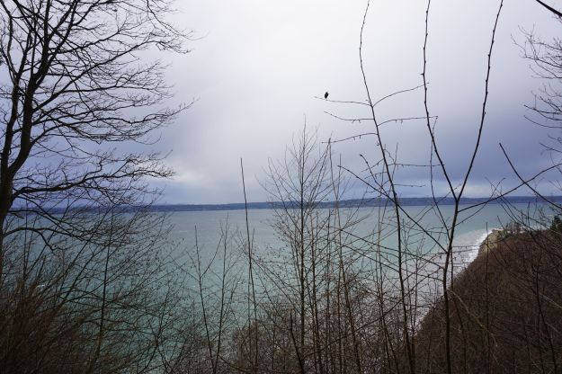 lighthouse in the distance