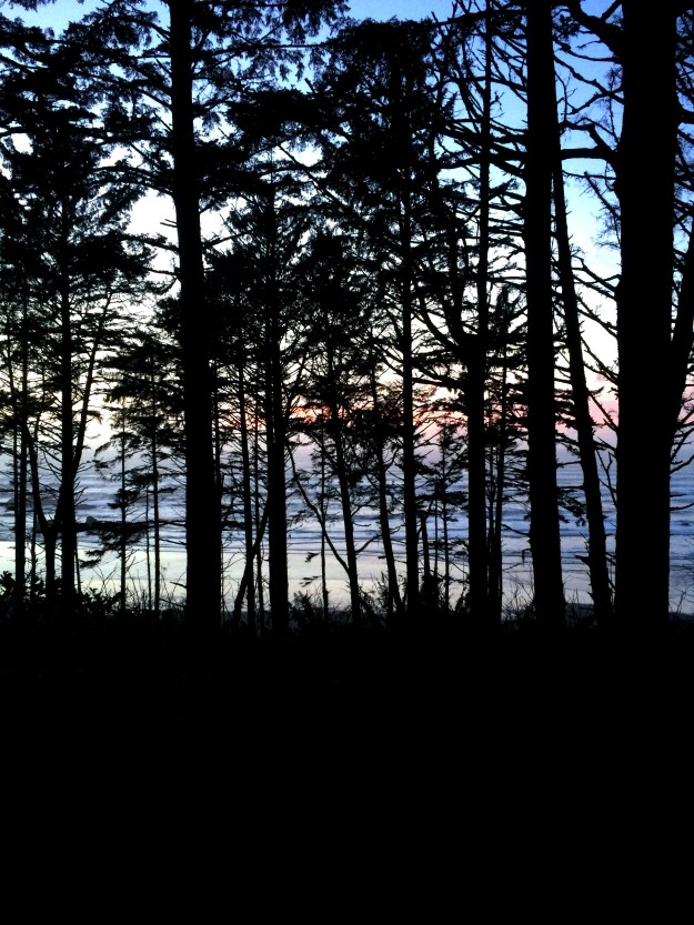 post sunset at ruby beach