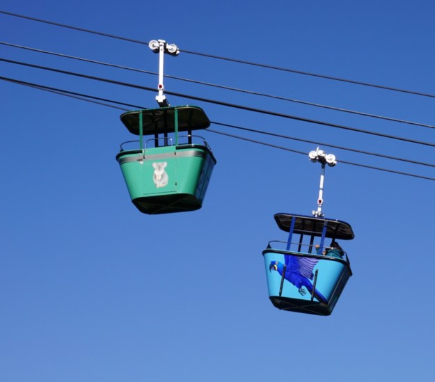 skyride