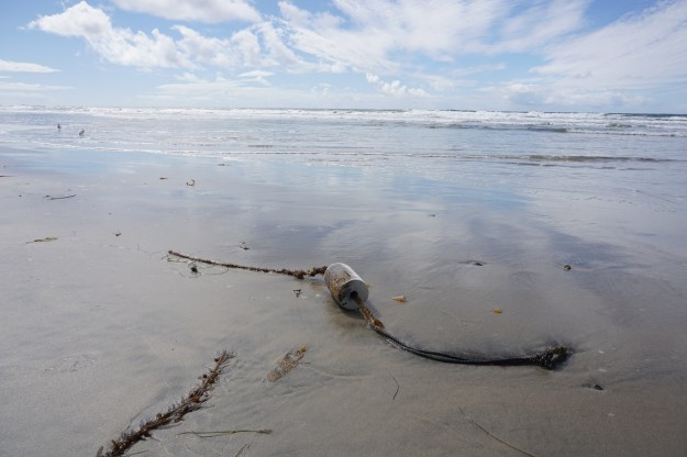 found float litterati
