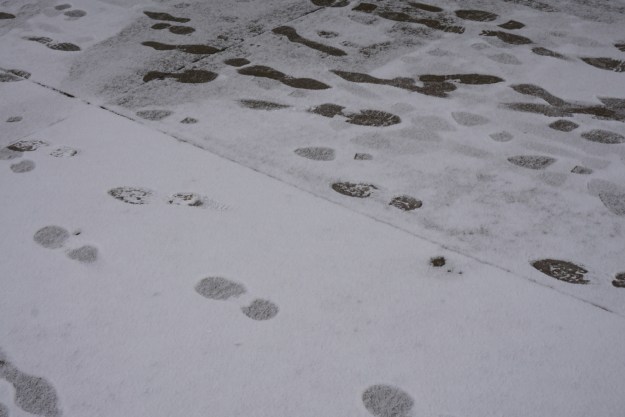 snowy footprints