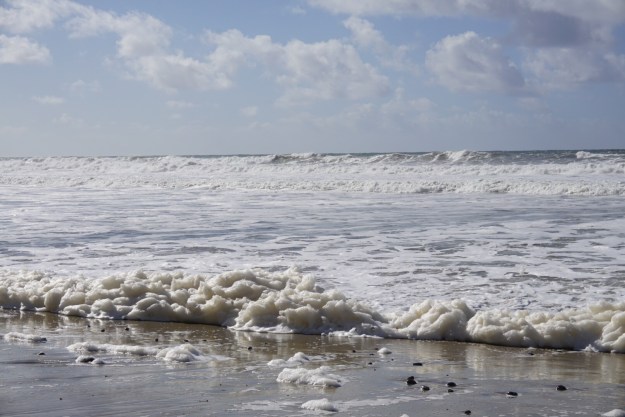 0b3d8d9e-1090-468a-b6dc-393d8fe11965