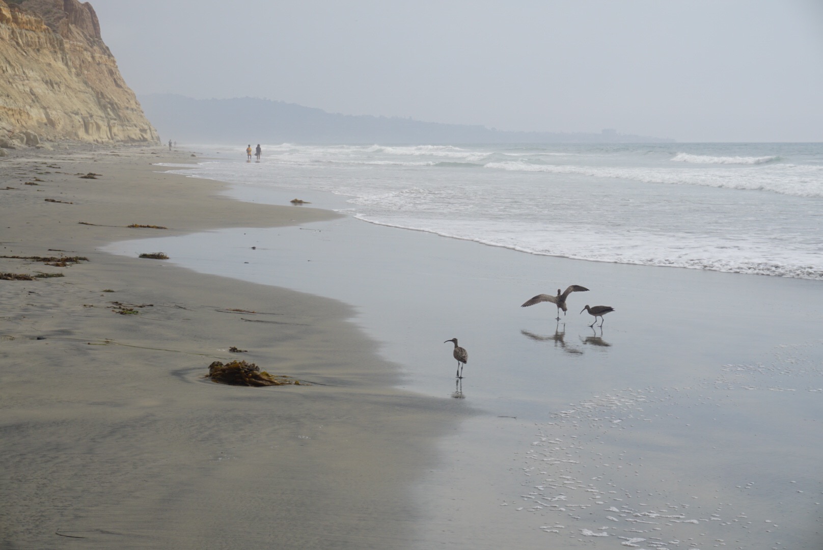 0f196d9f-2400-4ad2-8d7b-d3a551ef830d