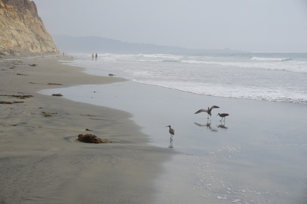 0f196d9f-2400-4ad2-8d7b-d3a551ef830d