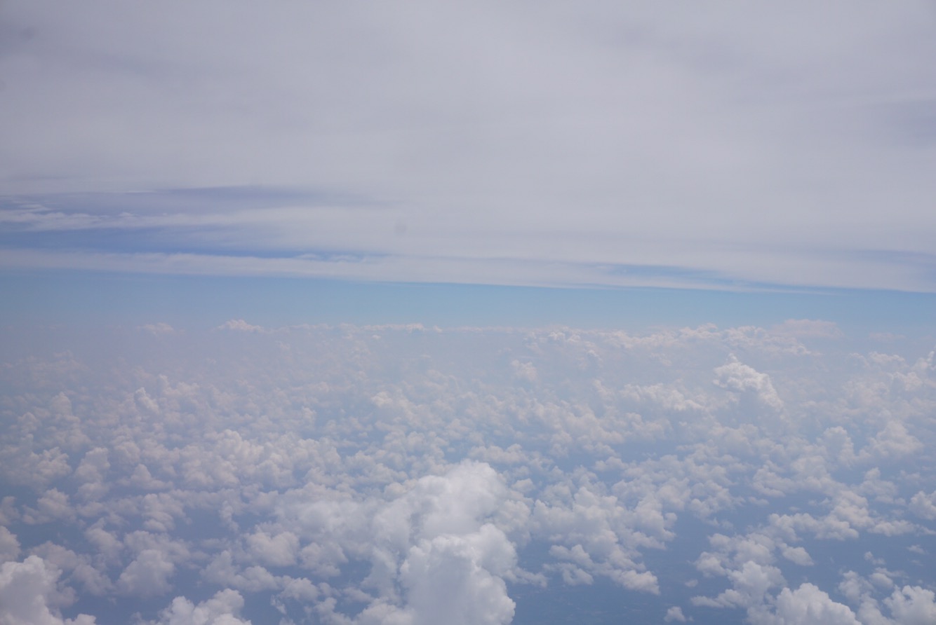 147aa7ff-3efa-4de3-b906-d3c76ee71647