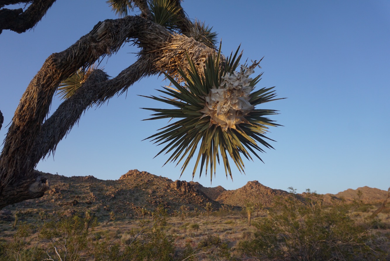 16a52b56-86f7-43c2-8671-8843d71ec42d