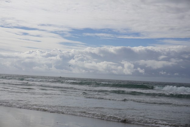 1900e9ee-4a50-4bfe-b8d5-be8a674a68c3