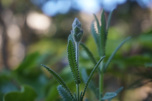 1e3d0587-a1cc-47f8-a379-9b4f6a842933