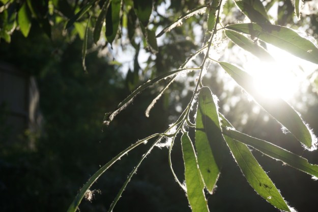 277f14e5-b52f-45fd-b4f9-52079b3cff8c