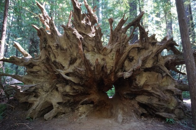 27f769de-3fe4-4134-a4fb-a0dfd9aa5457