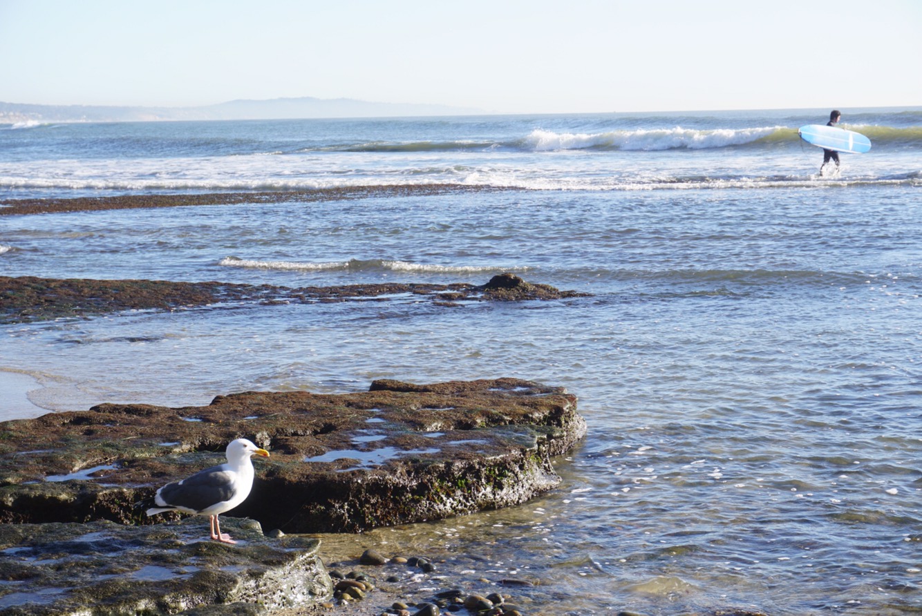 2ace4e06-cc90-4993-855b-841d8e0955c5