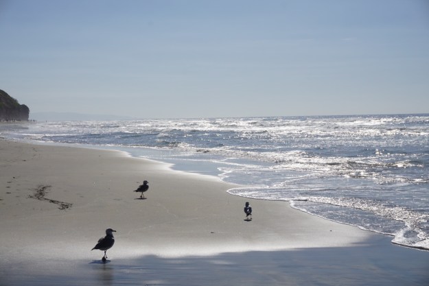 2d9764d1-8659-48c3-8b9a-52be9b267ee9