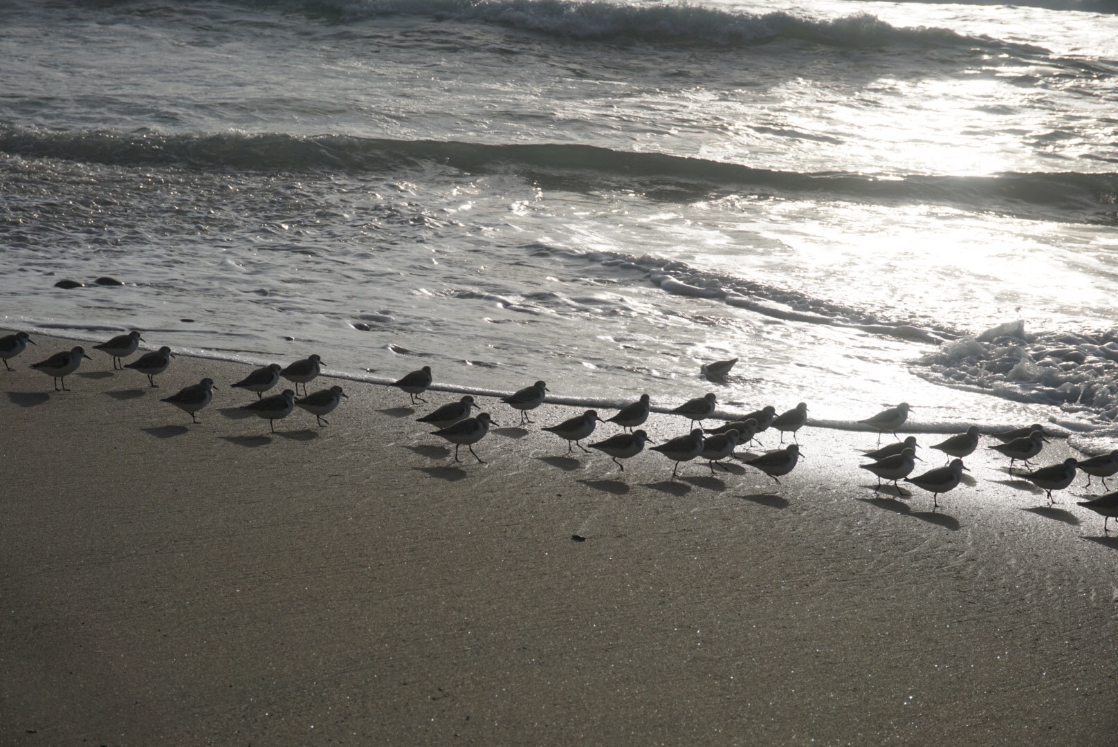 38aabb4d-509d-4e96-80ec-fcdcfb9aa0e7