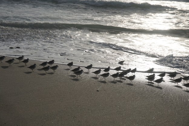 38aabb4d-509d-4e96-80ec-fcdcfb9aa0e7