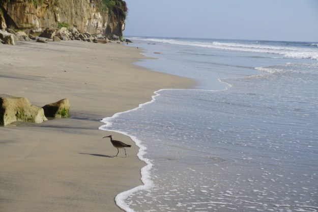 3ddcfa44-b5ec-4438-be98-46851d58efa6