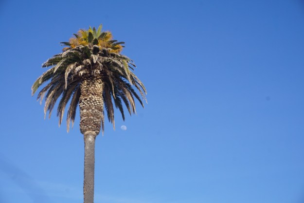 4509939f-2098-4862-93d6-a4bc76b3bca5